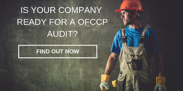 How To Prepare For An Ofccp Audit Birddoghr