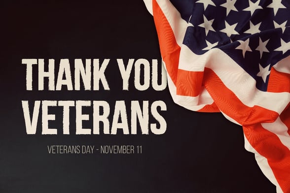 Thank you veterans flag image-1